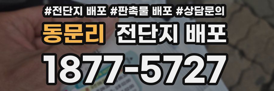 동문리 전단지 배포