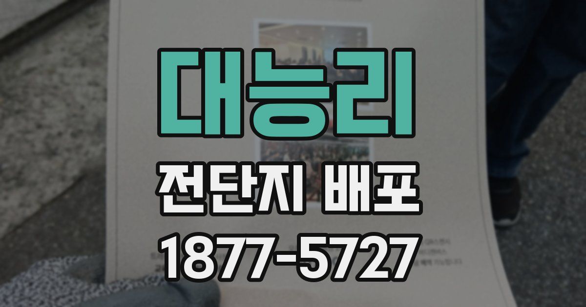대능리 전단지 배포