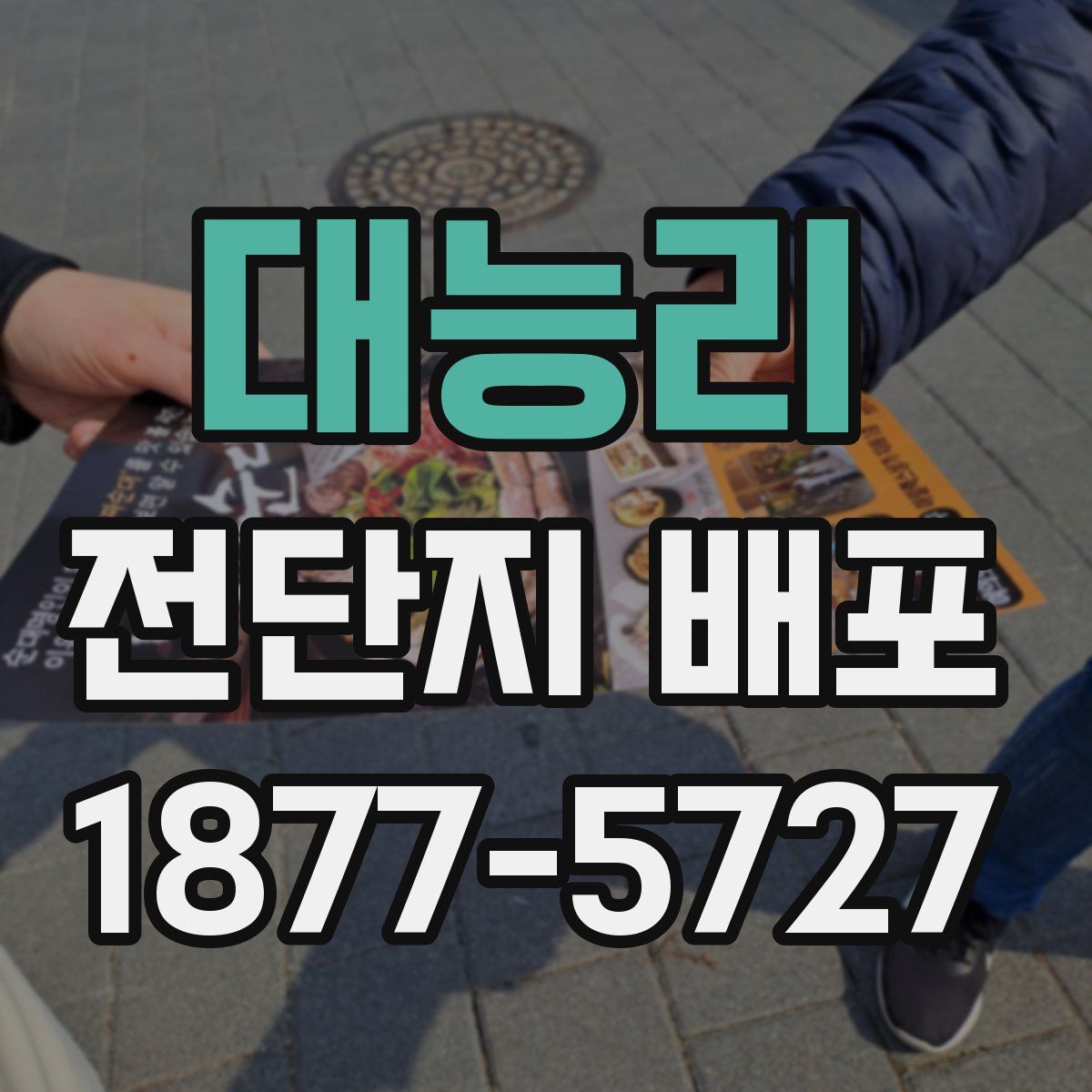 대능리 전단지 배포
