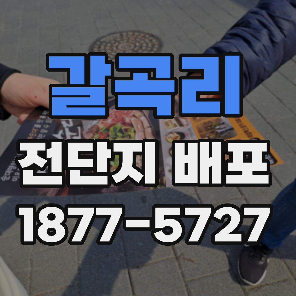 갈곡리 전단지 배포