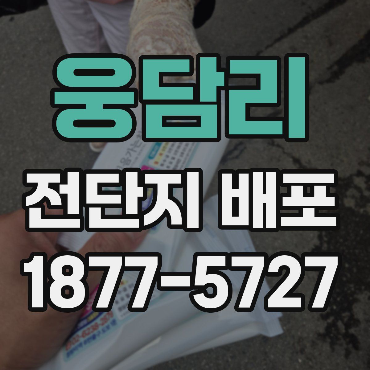 웅담리 전단지 배포