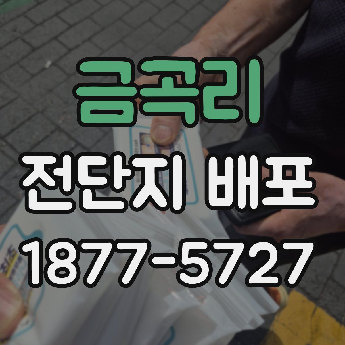 금곡리 전단지 배포
