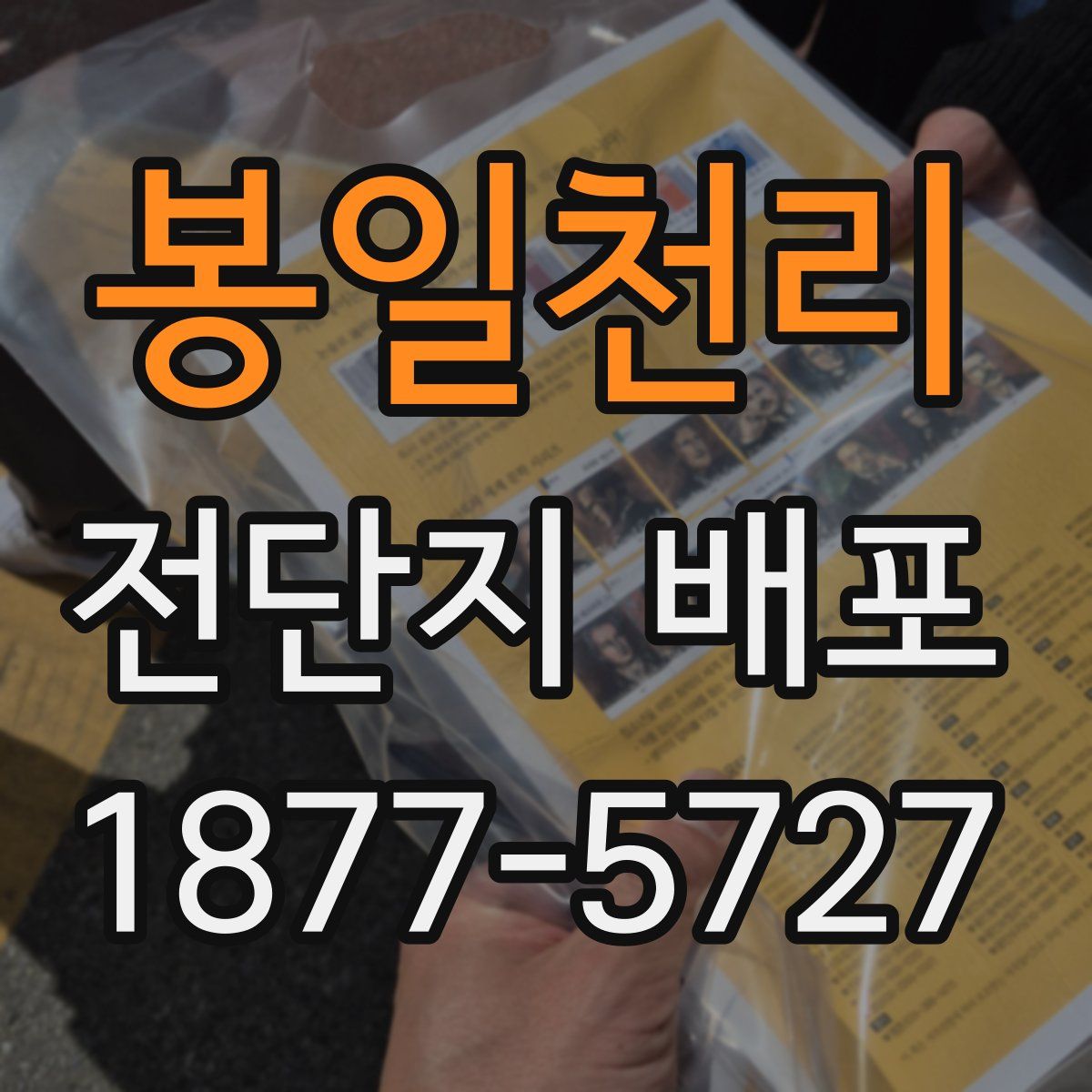 봉일천리 전단지 배포