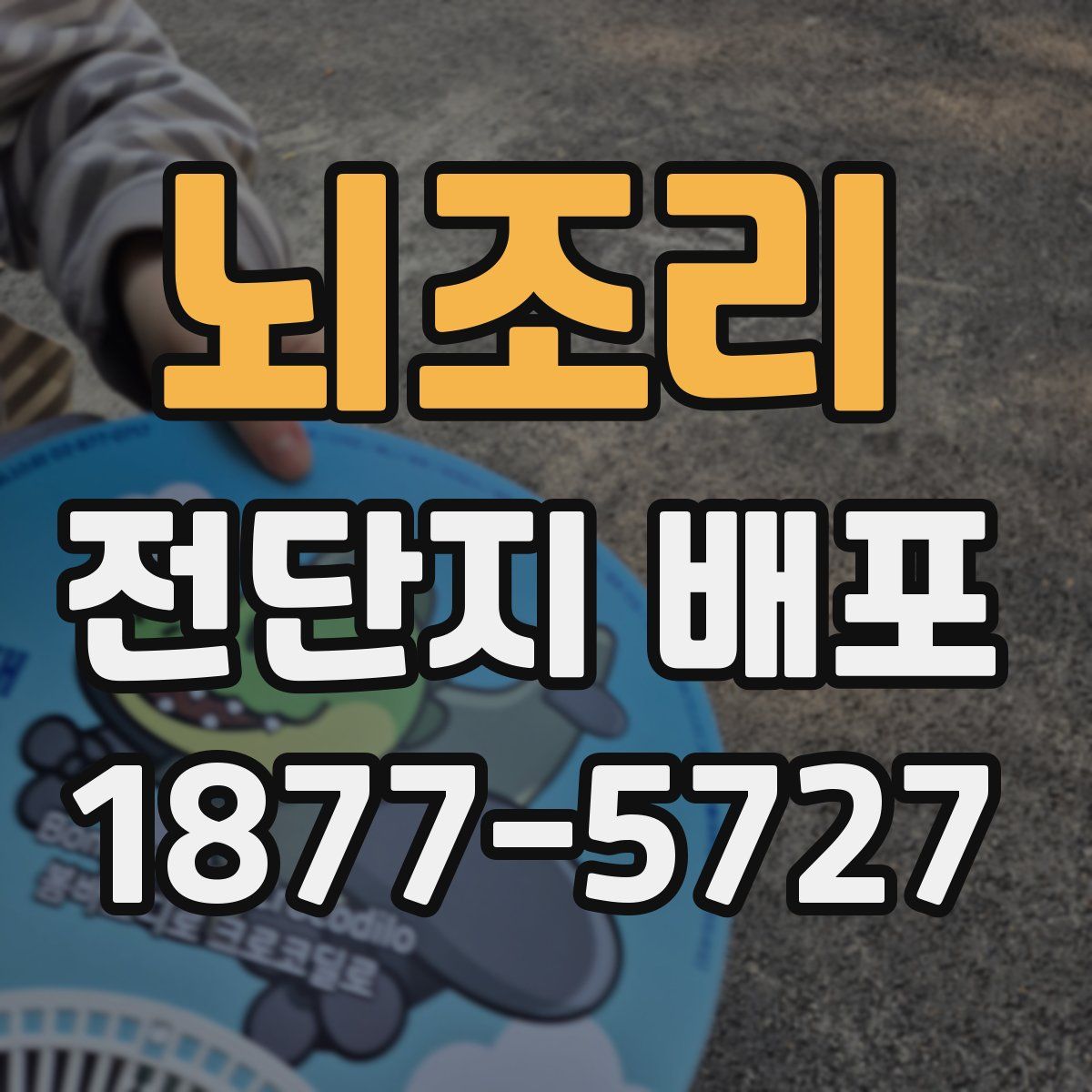 뇌조리 전단지 배포