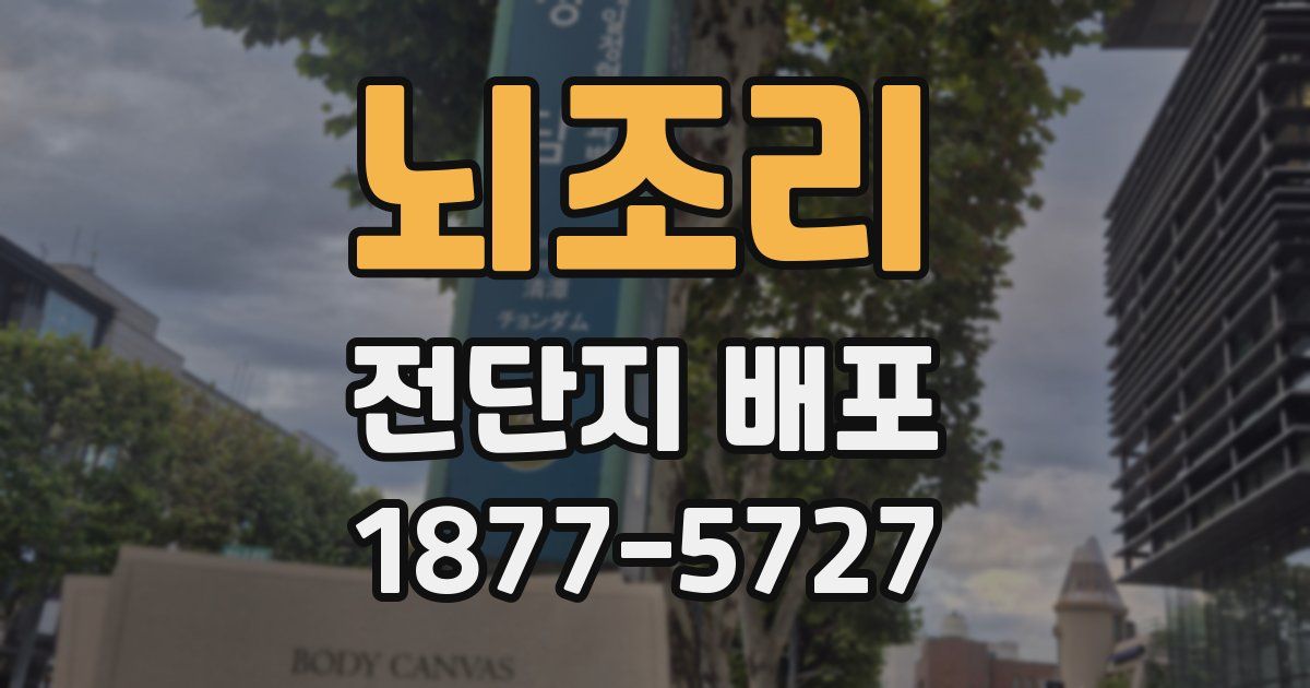 뇌조리 전단지 배포