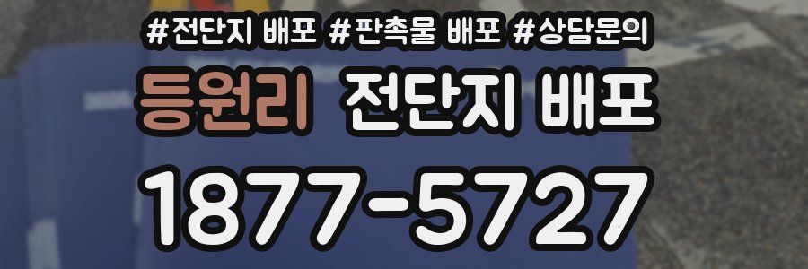 등원리 전단지 배포