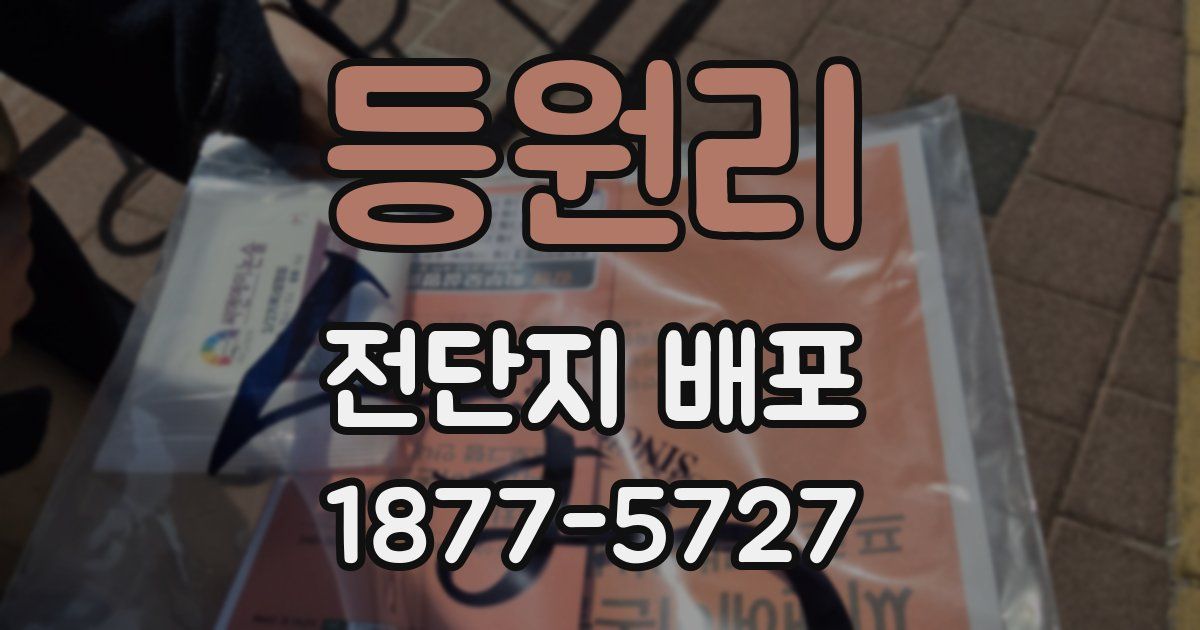 등원리 전단지 배포