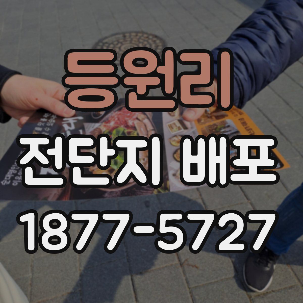 등원리 전단지 배포