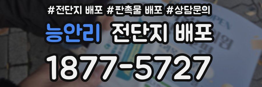 능안리 전단지 배포
