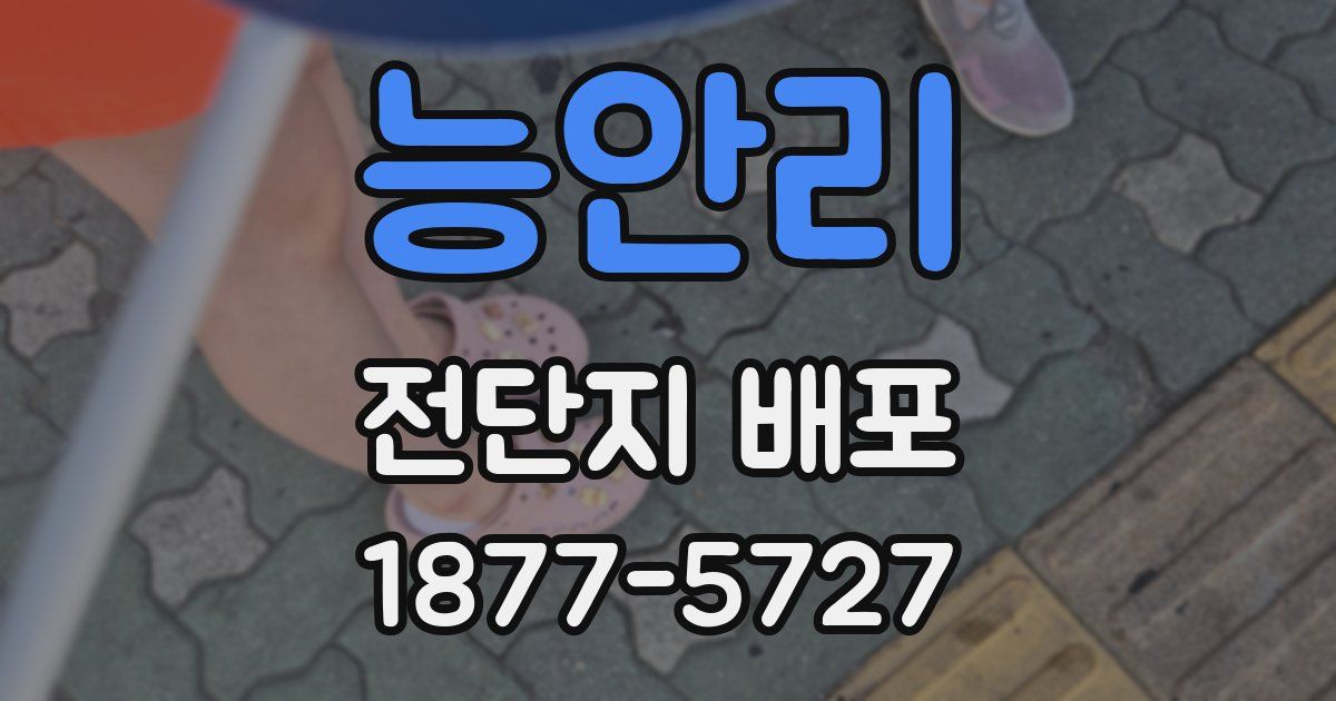 능안리 전단지 배포