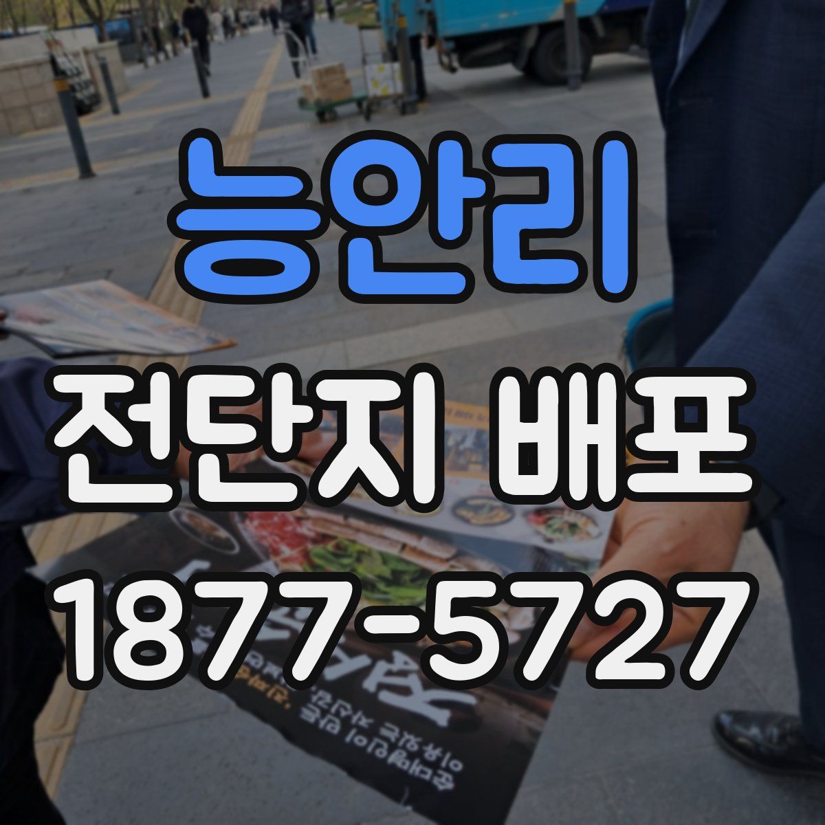 능안리 전단지 배포