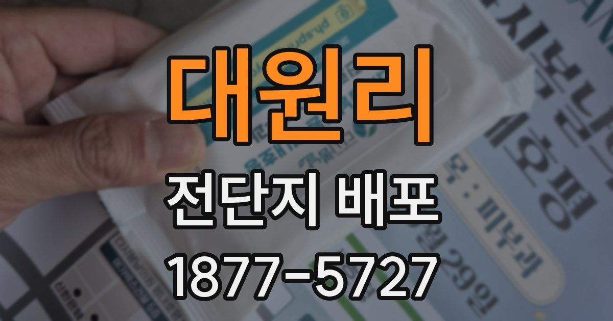 대원리 전단지 배포
