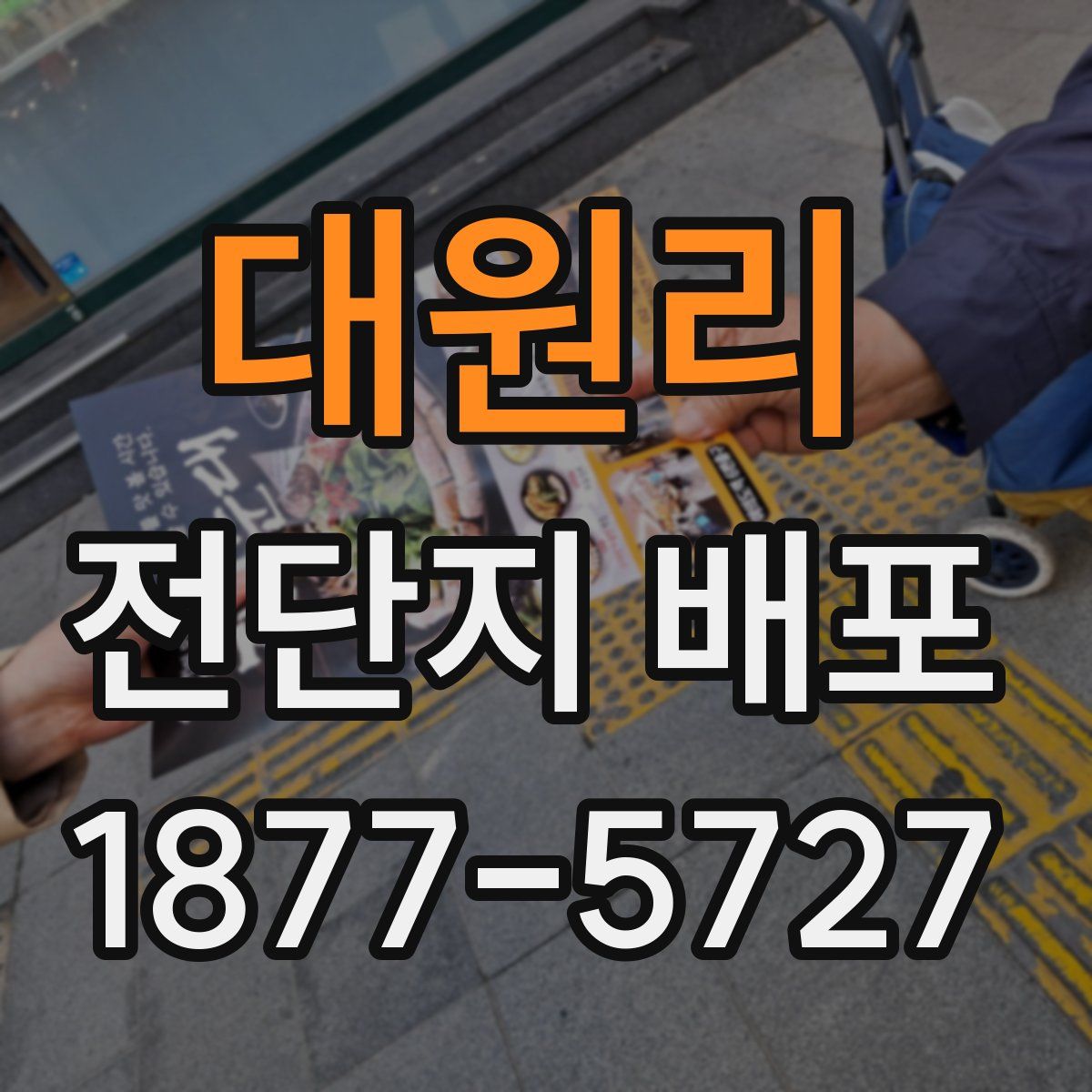대원리 전단지 배포