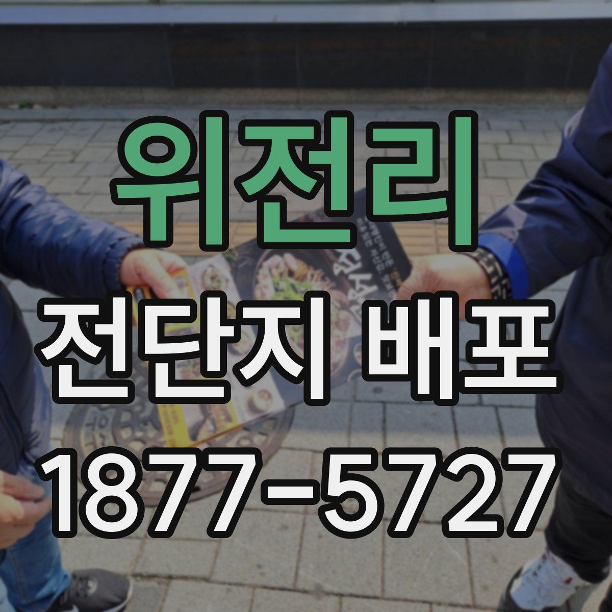 위전리 전단지 배포