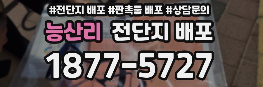 능산리 전단지 배포