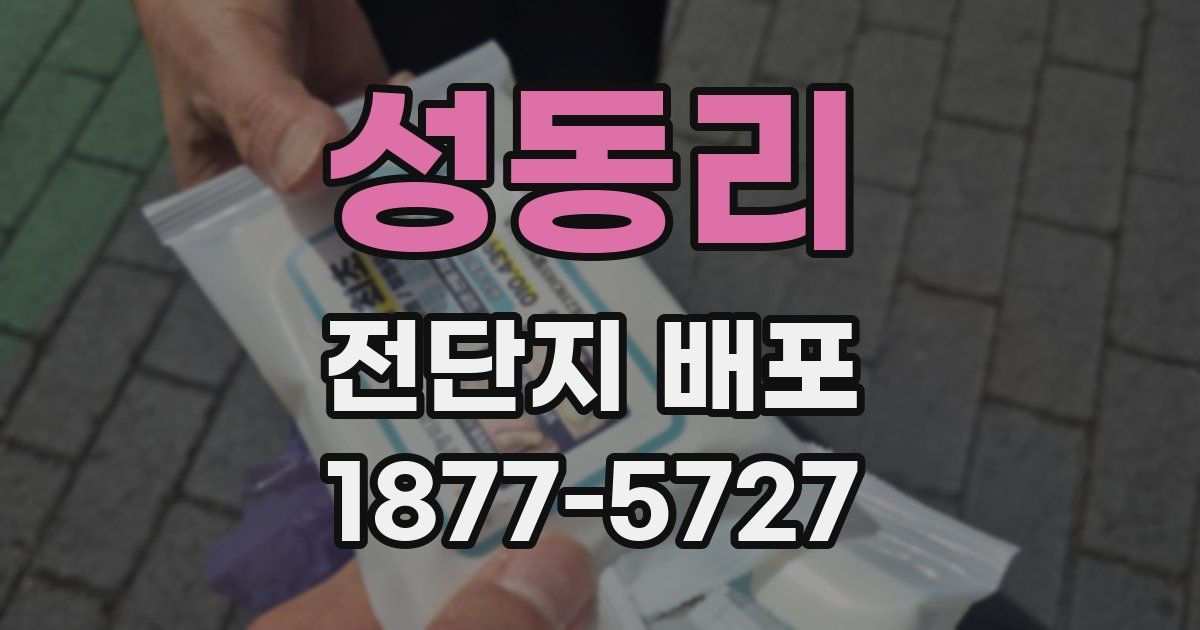 성동리 전단지 배포