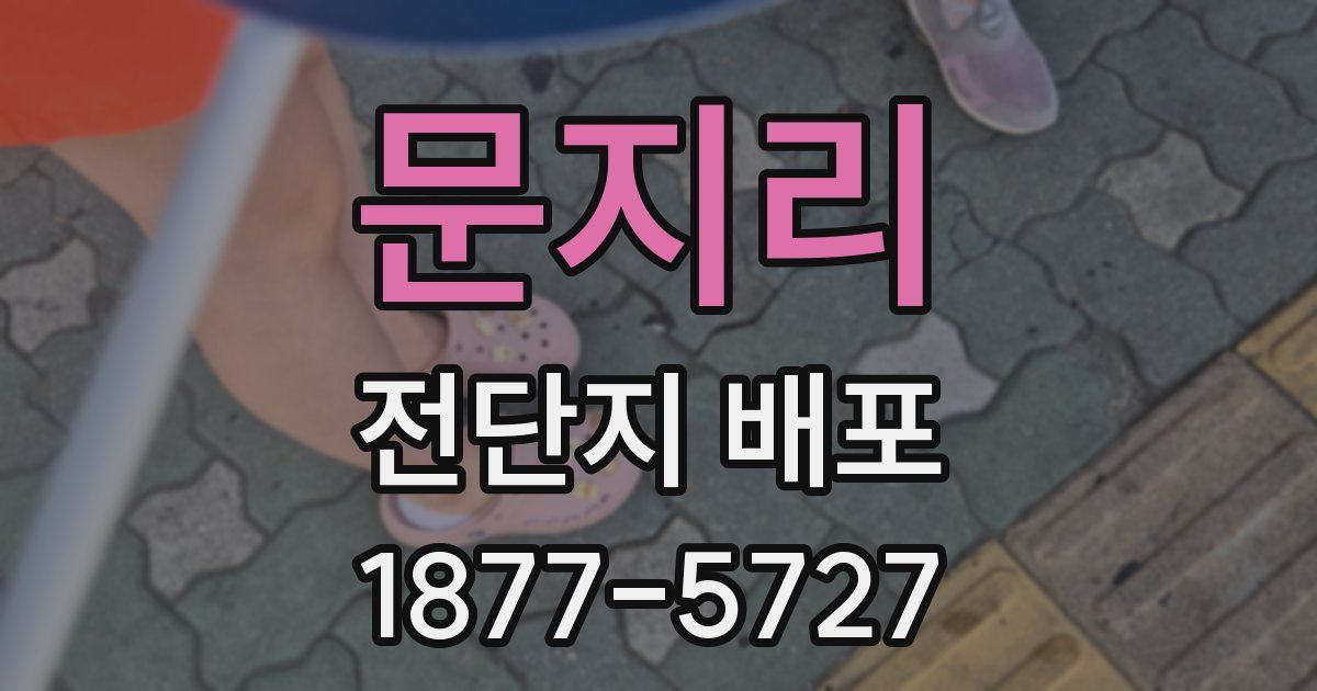 문지리 전단지 배포