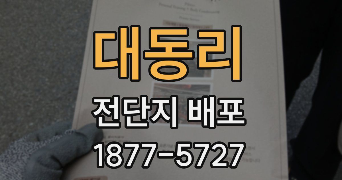 대동리 전단지 배포