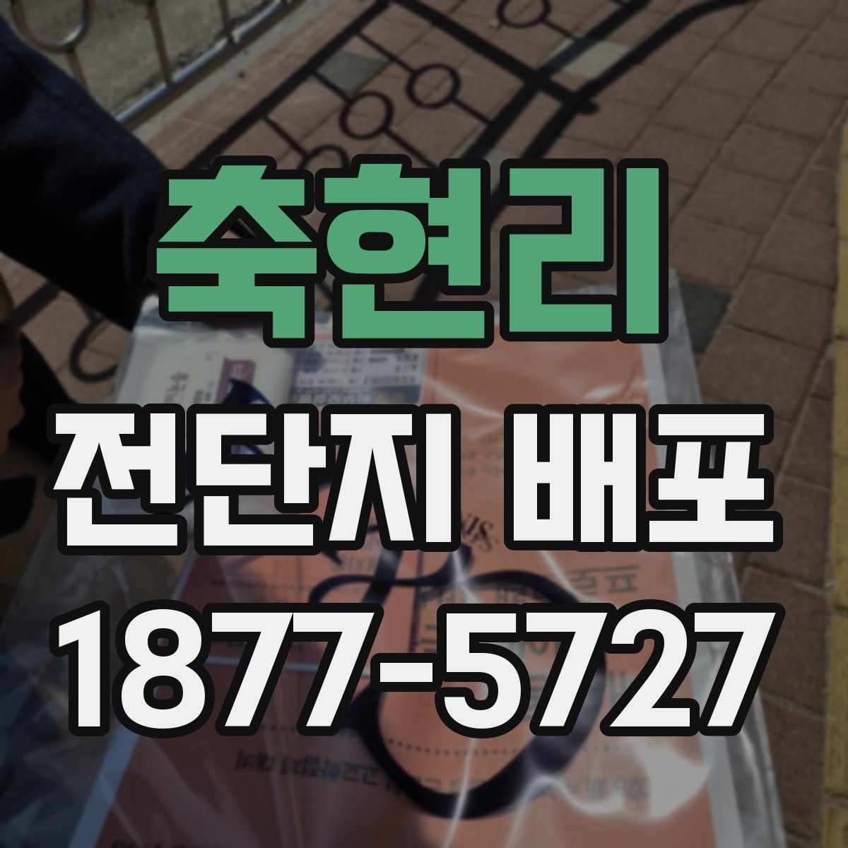 축현리 전단지 배포