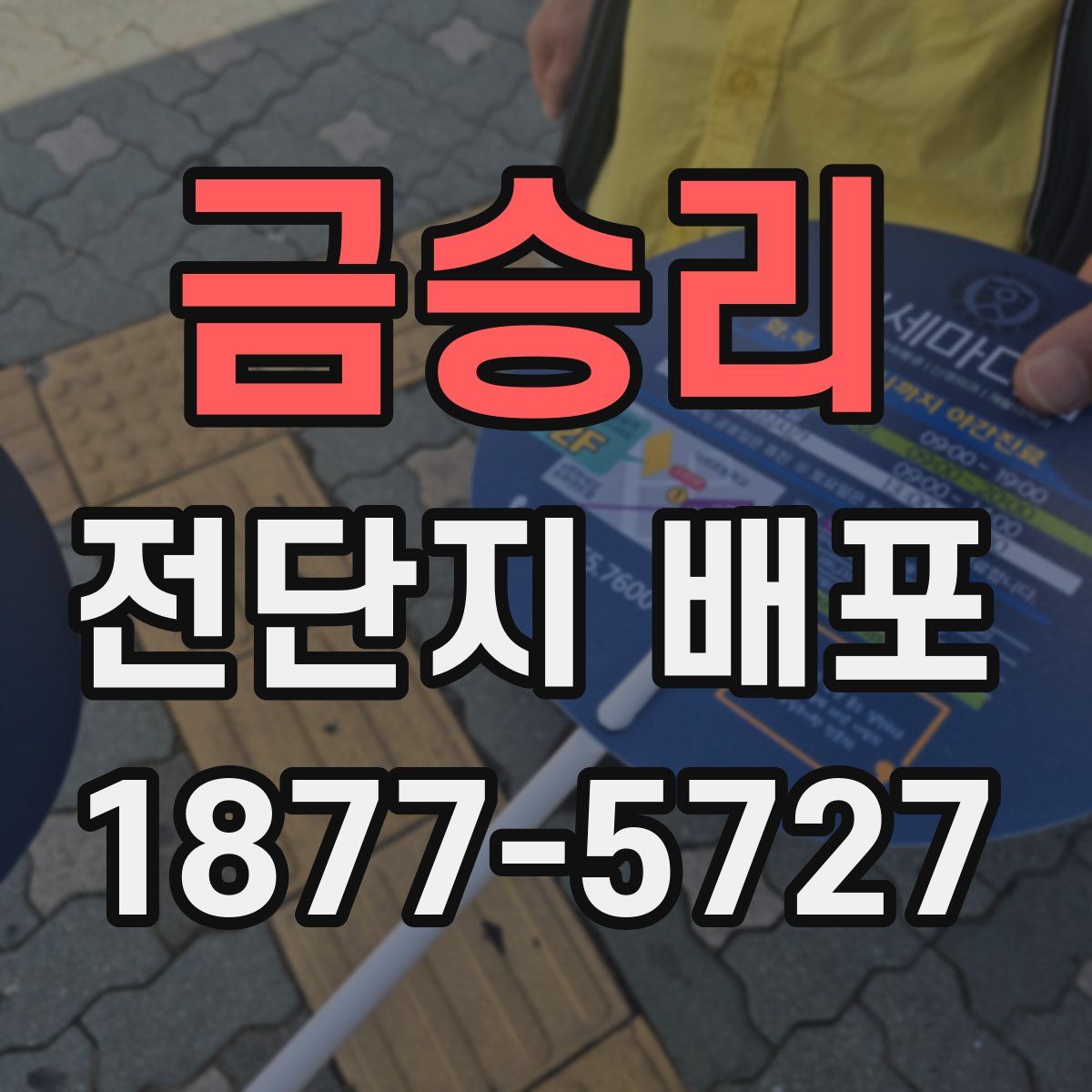 금승리 전단지 배포