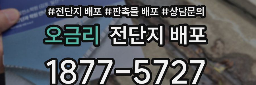 오금리 전단지 배포