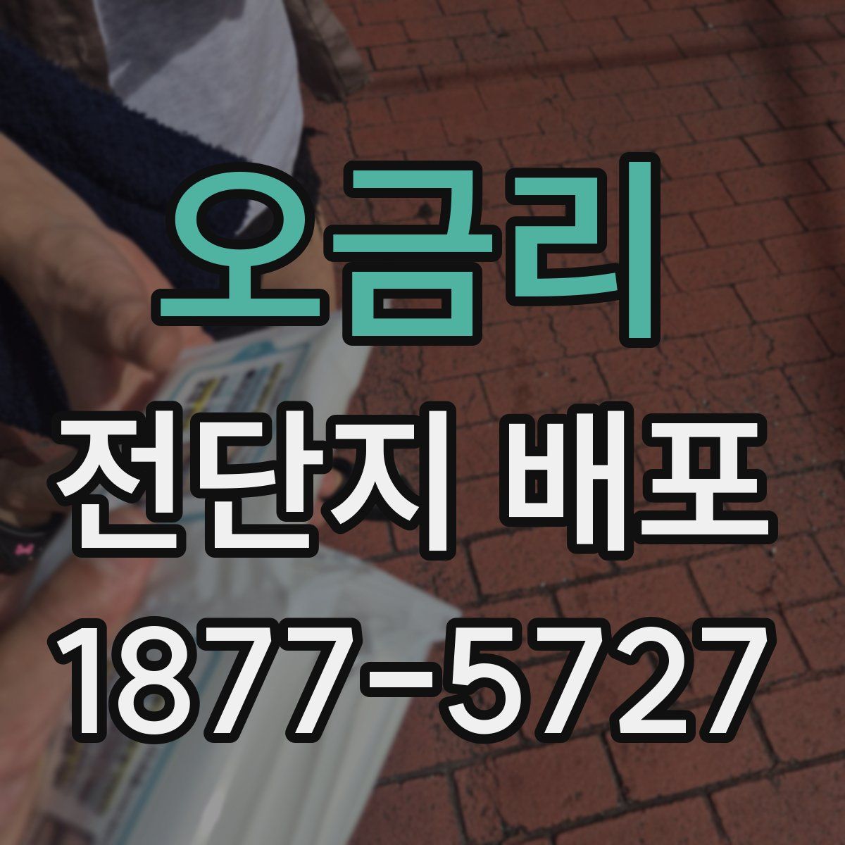 오금리 전단지 배포