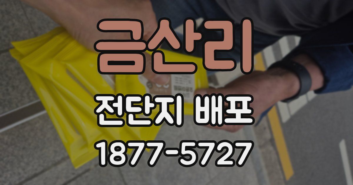 금산리 전단지 배포