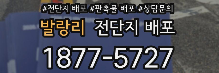 발랑리 전단지 배포