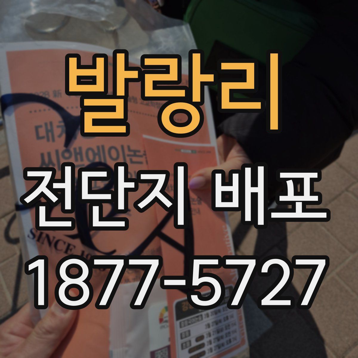 발랑리 전단지 배포
