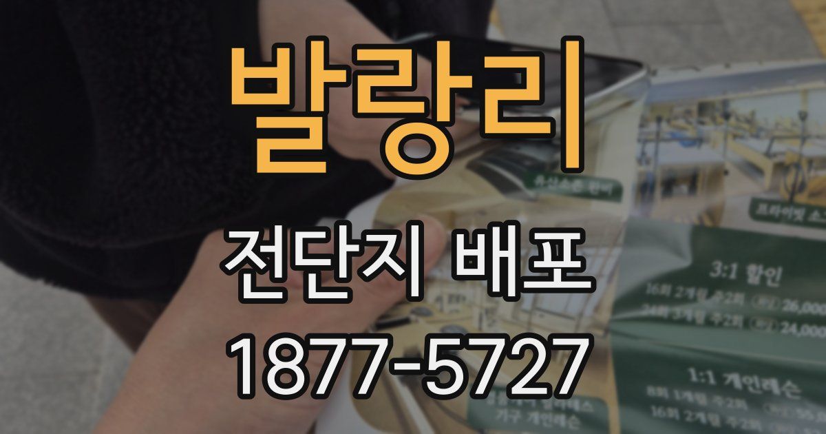 발랑리 전단지 배포