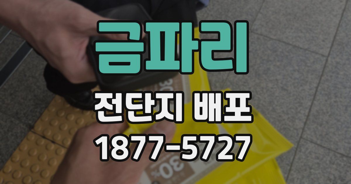 금파리 전단지 배포