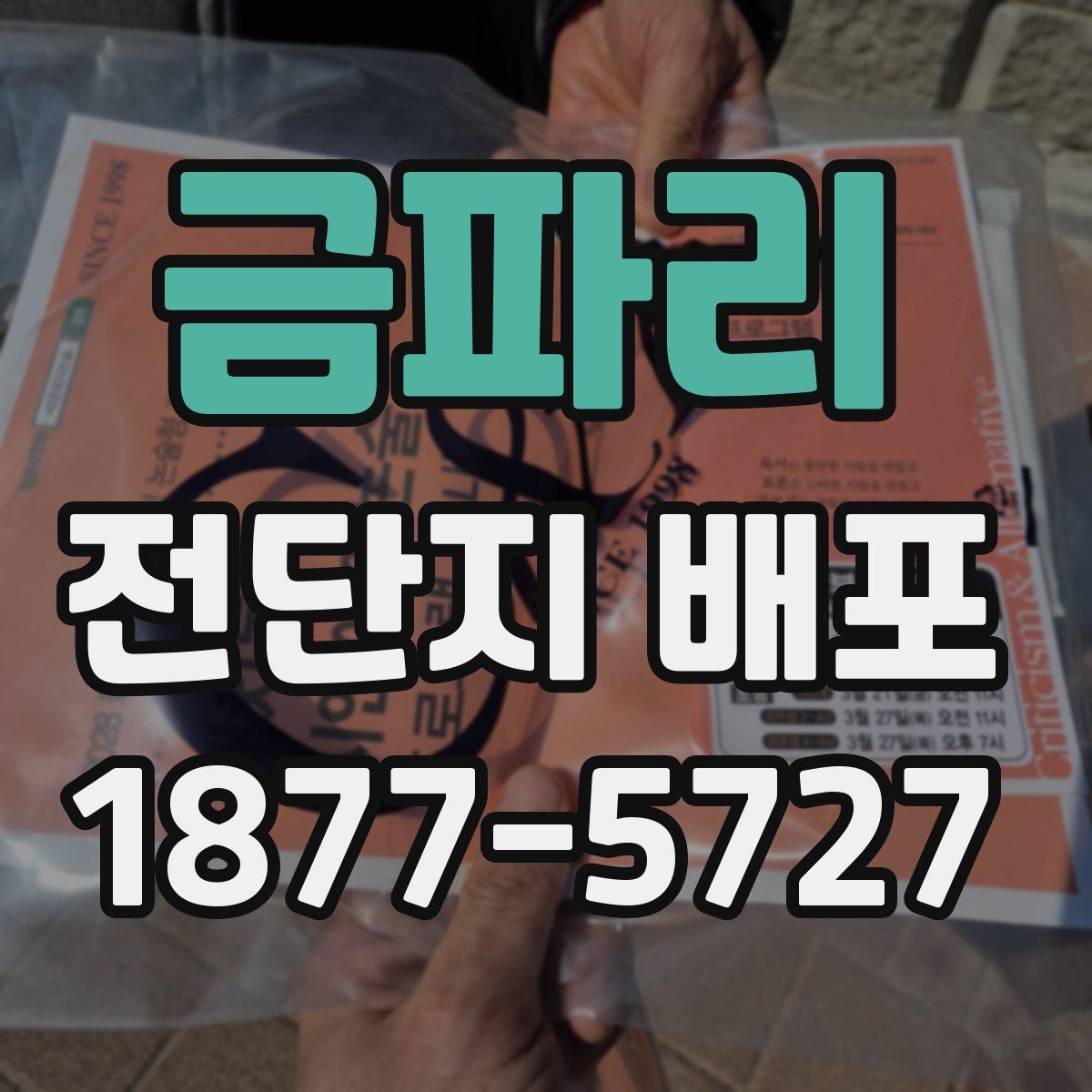 금파리 전단지 배포