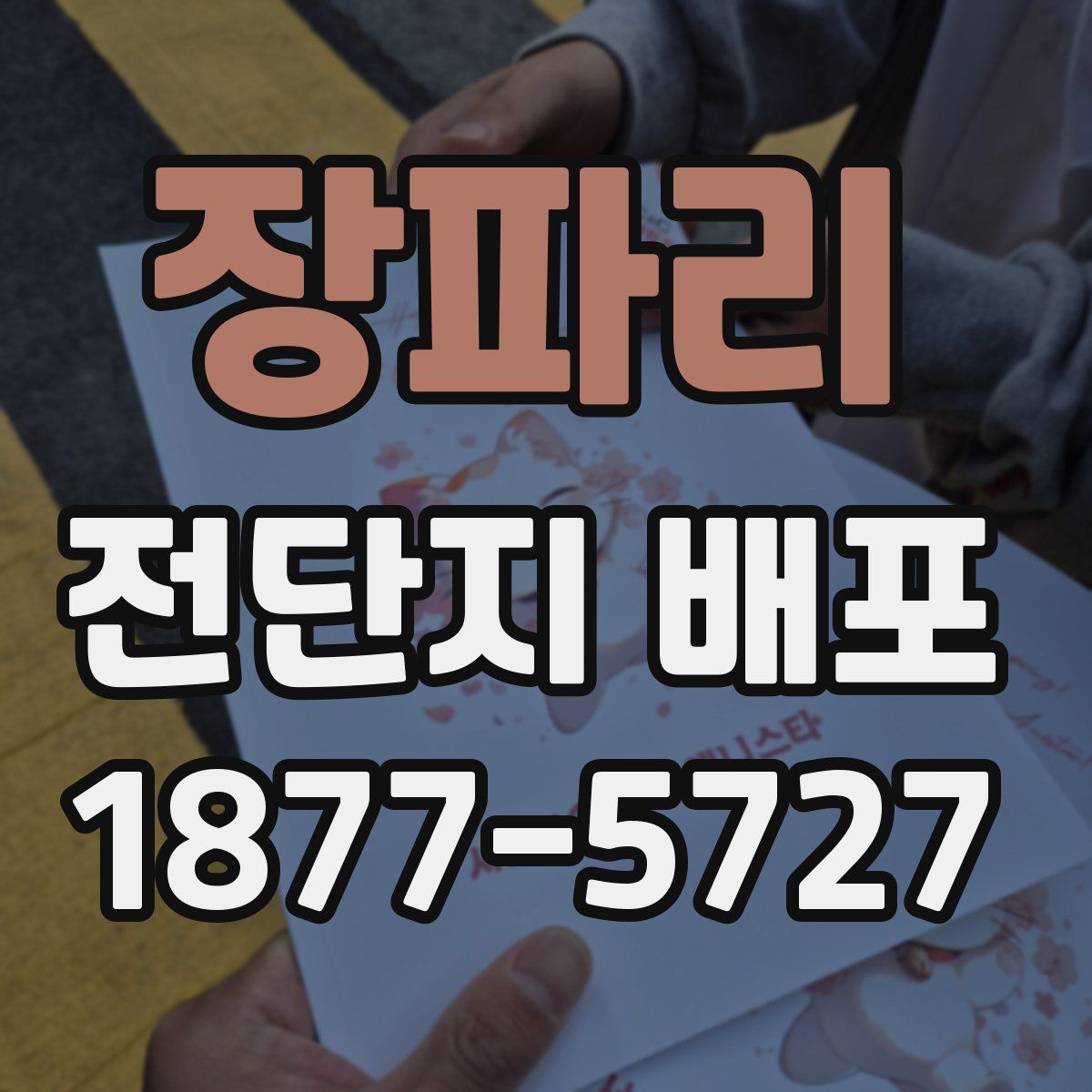 장파리 전단지 배포