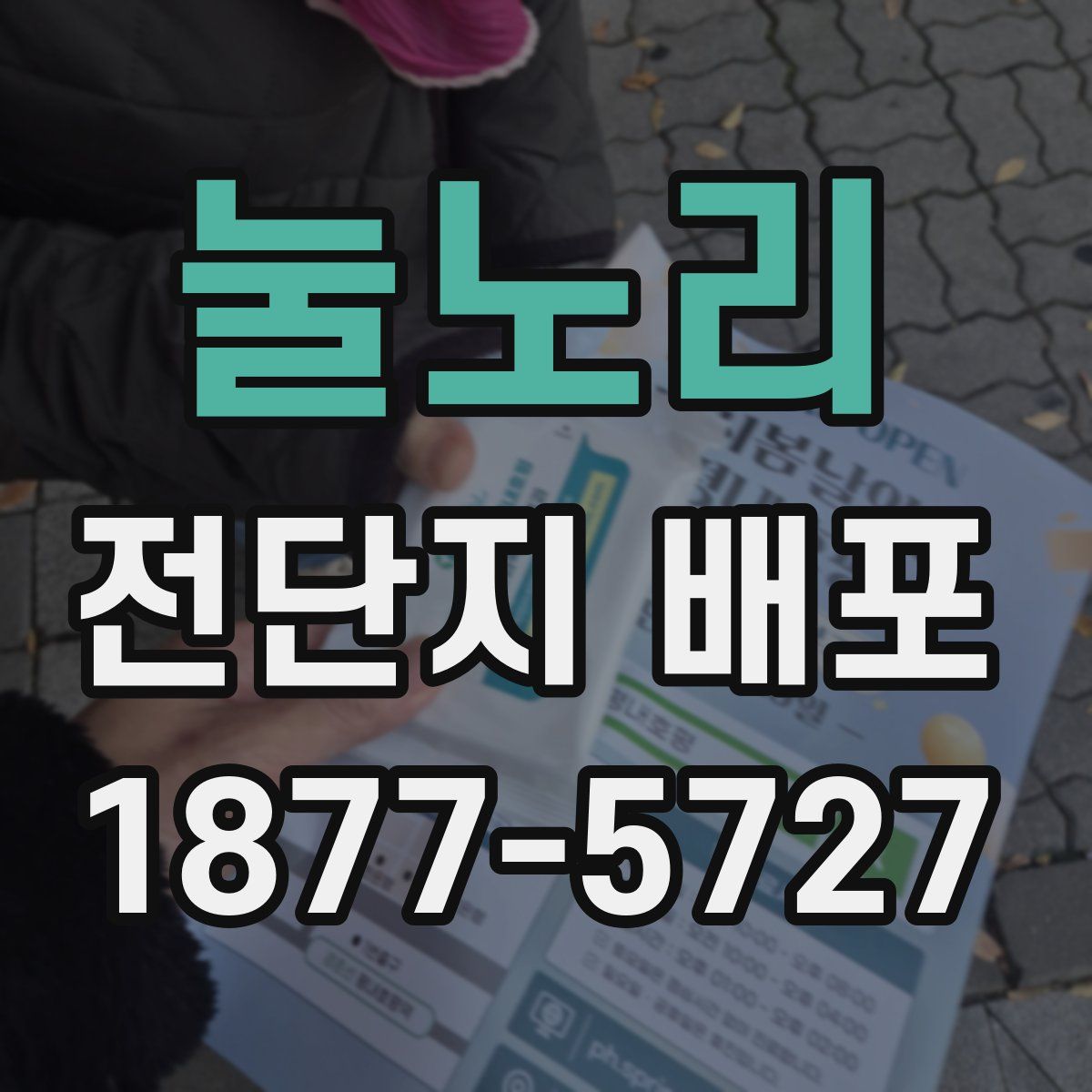 눌노리 전단지 배포