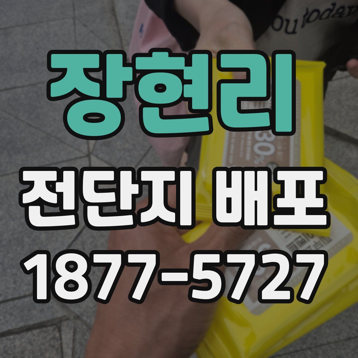 장현리 전단지 배포