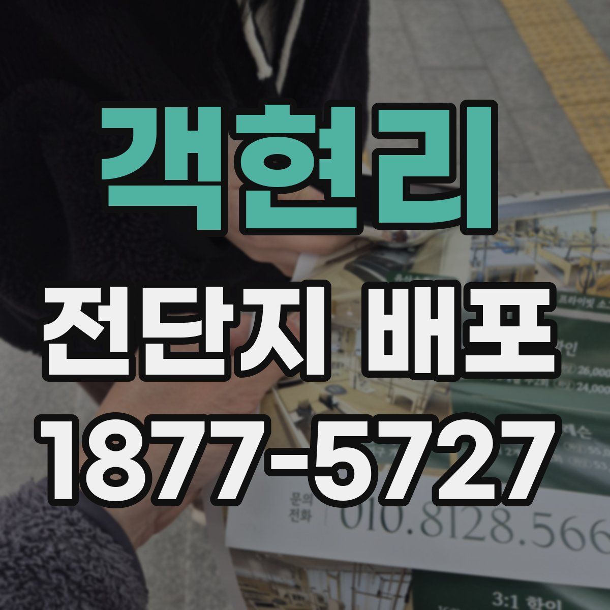객현리 전단지 배포
