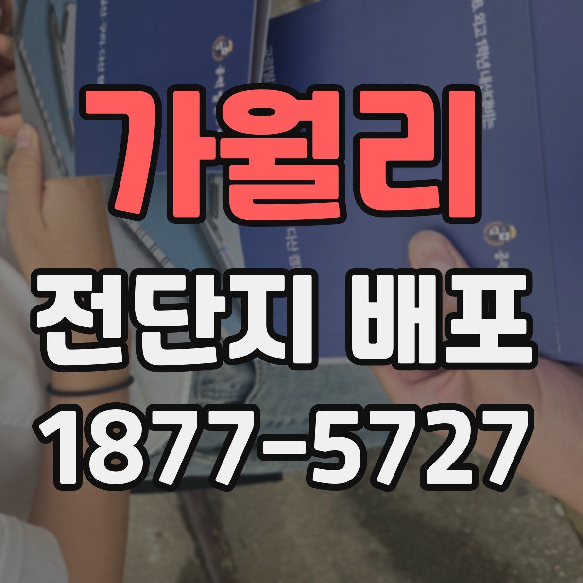 가월리 전단지 배포