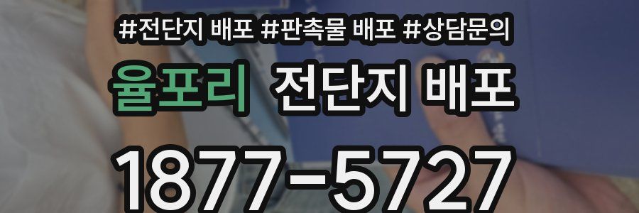 율포리 전단지 배포