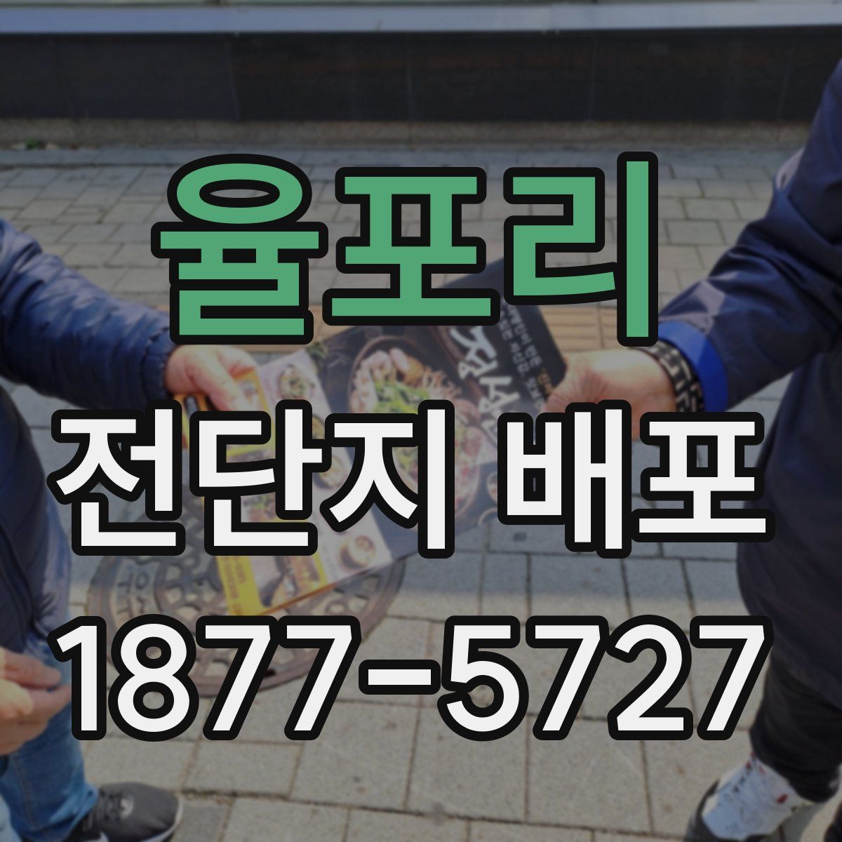 율포리 전단지 배포