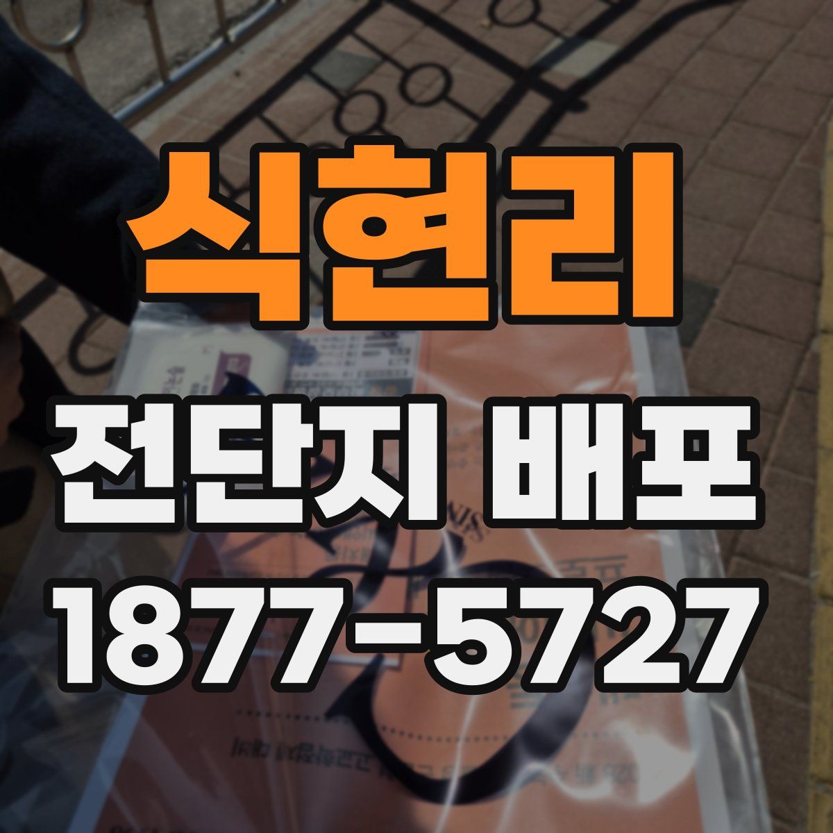 식현리 전단지 배포