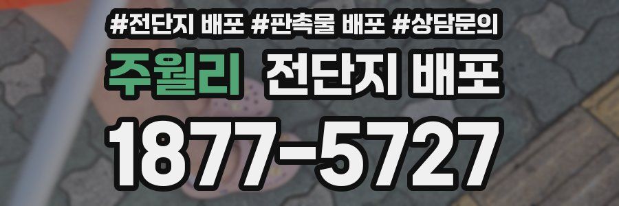 주월리 전단지 배포