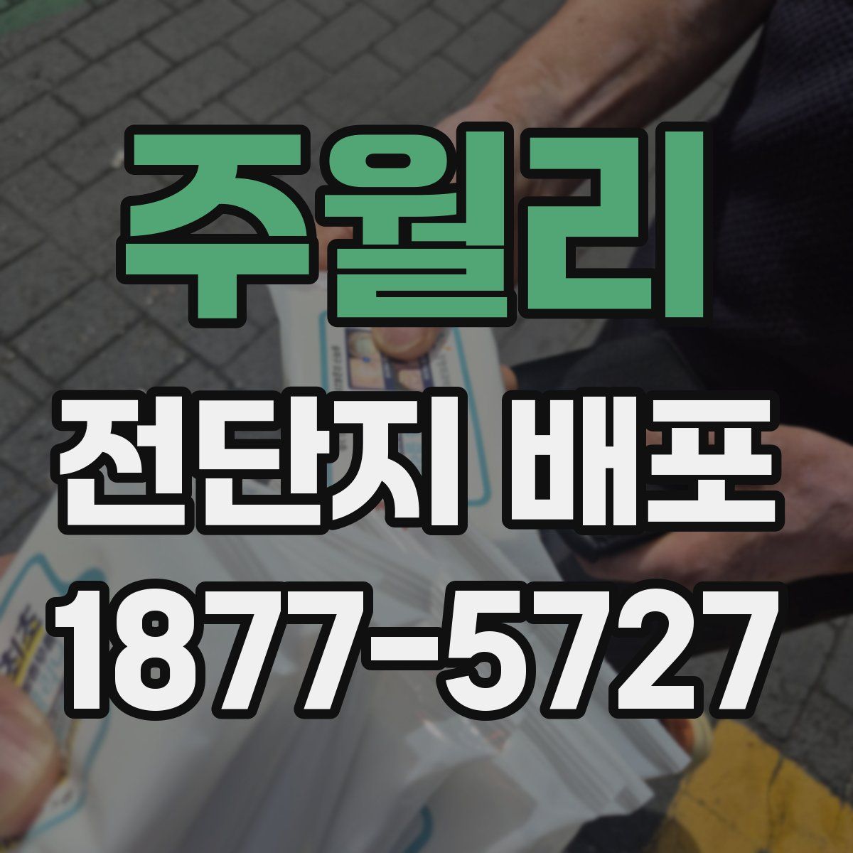 주월리 전단지 배포