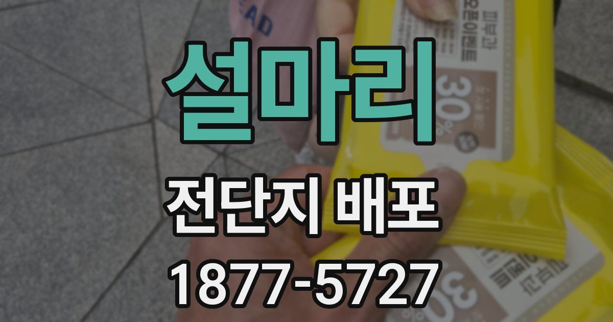 설마리 전단지 배포