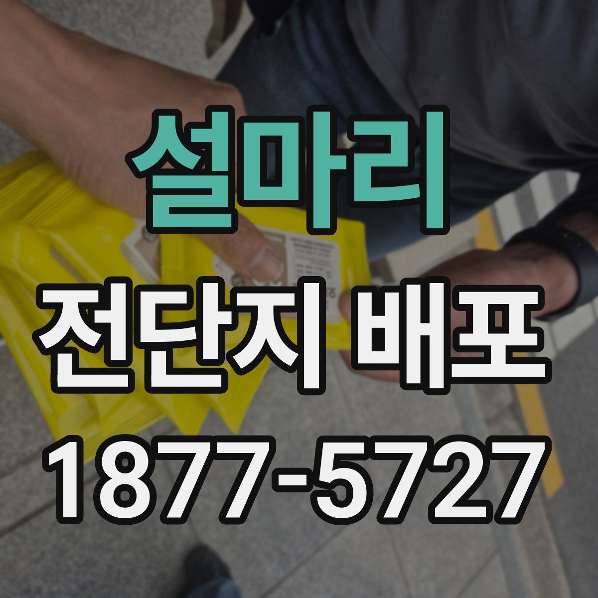 설마리 전단지 배포