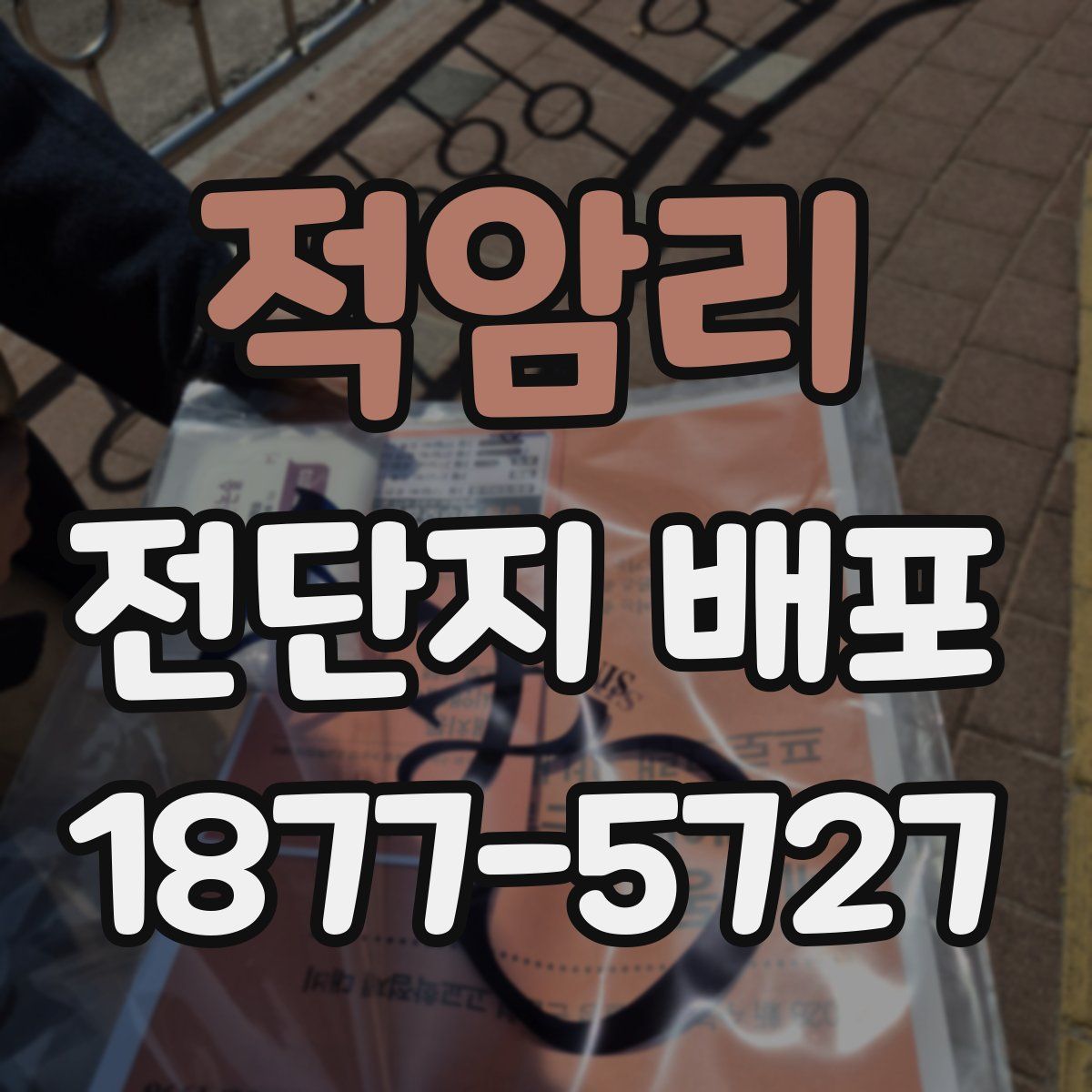 적암리 전단지 배포