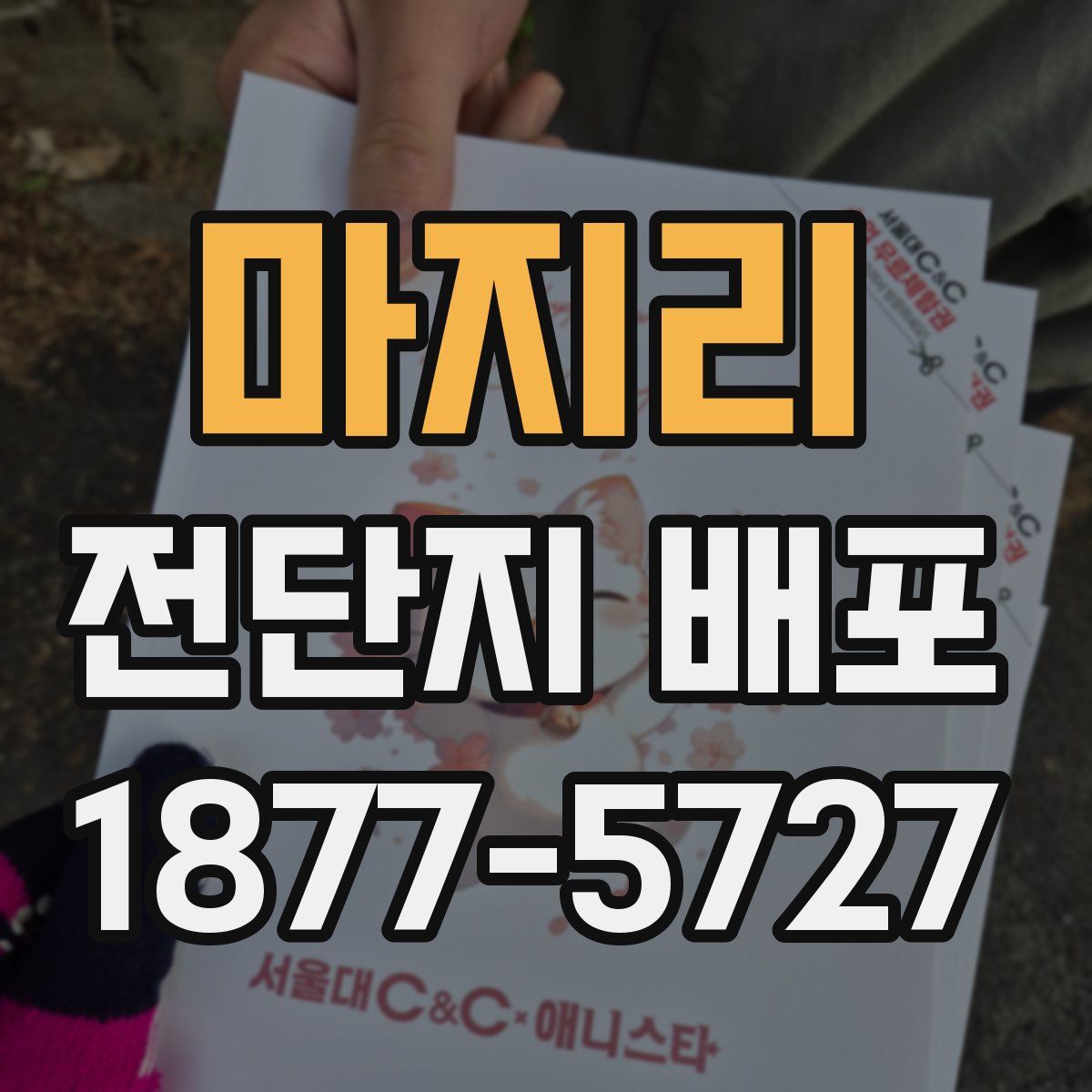 마지리 전단지 배포