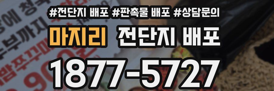마지리 전단지 배포