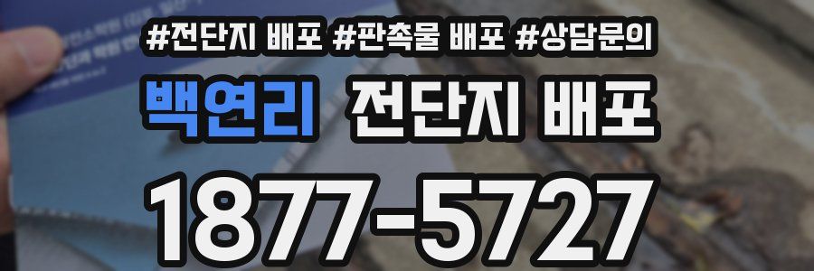 백연리 전단지 배포