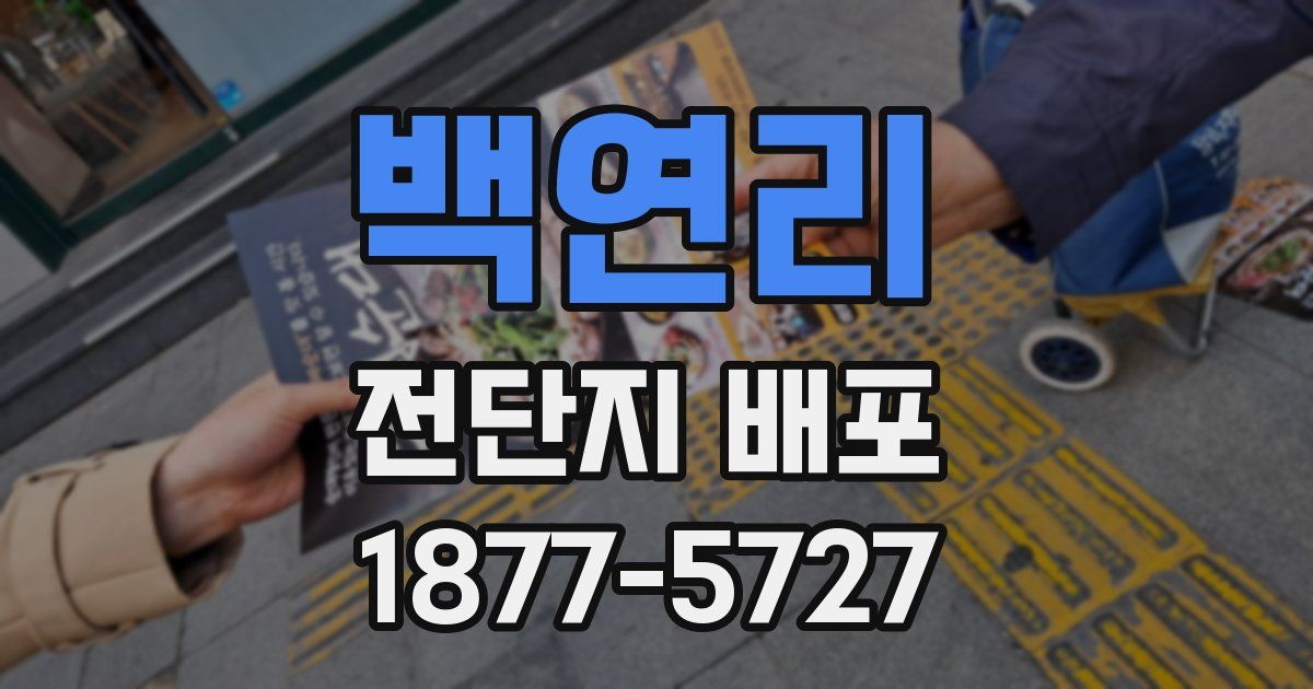 백연리 전단지 배포