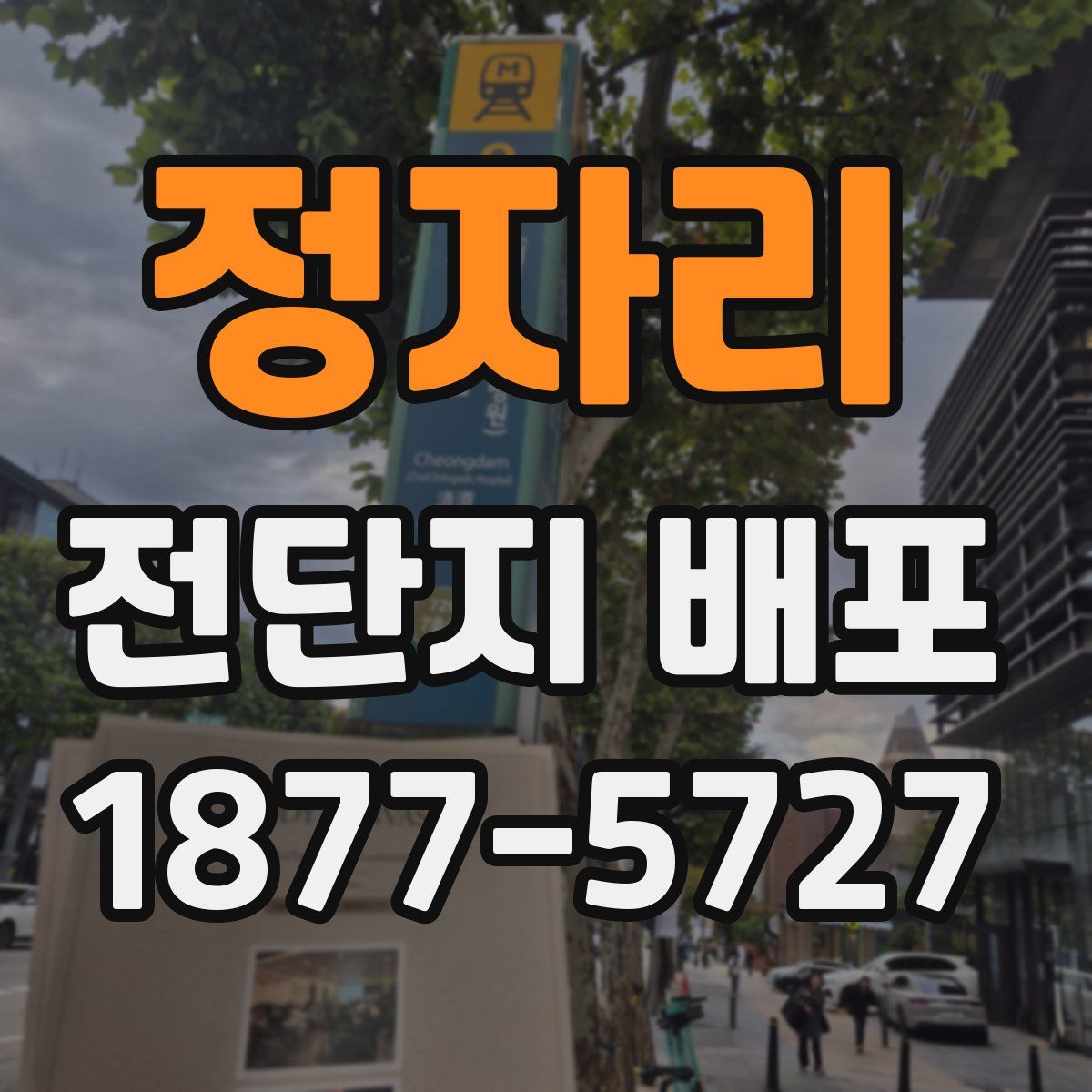 정자리 전단지 배포
